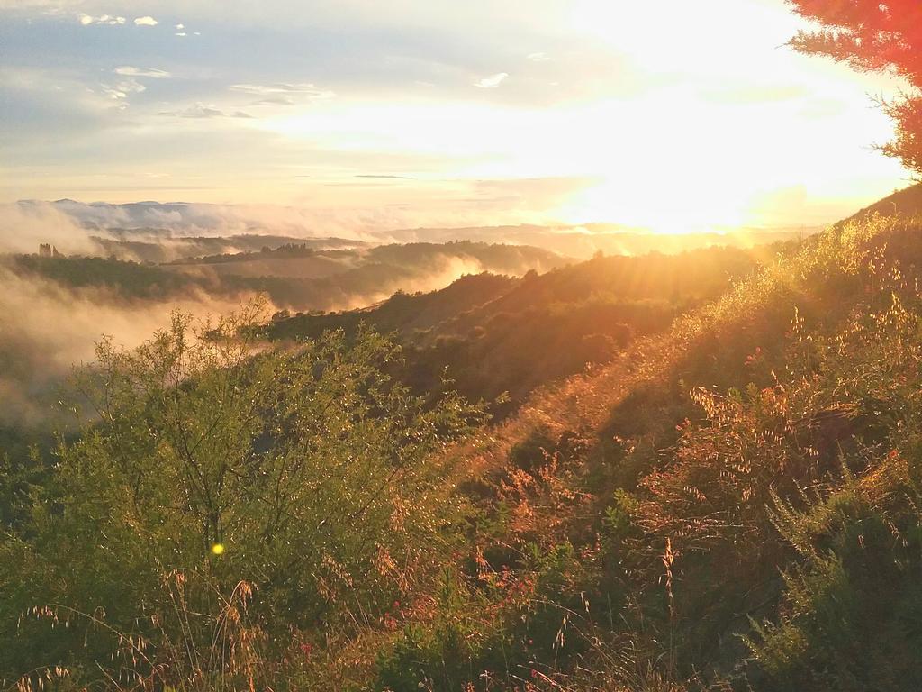 Agriturismo Le Piazze Siena Esterno foto
