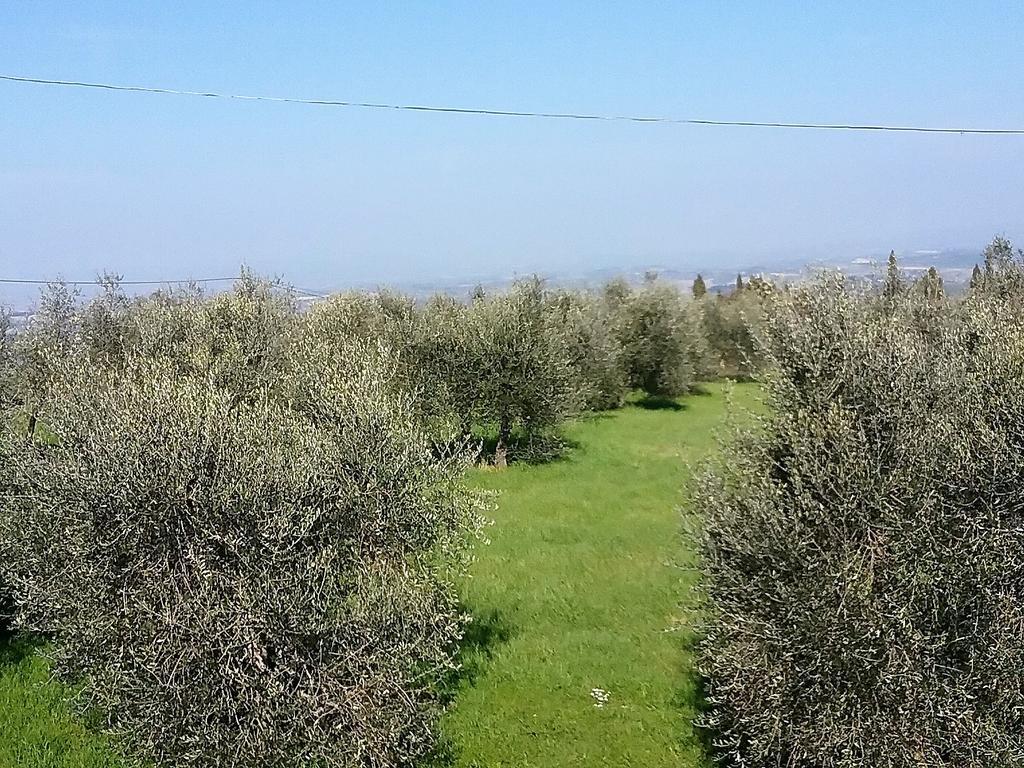 Agriturismo Le Piazze Siena Esterno foto