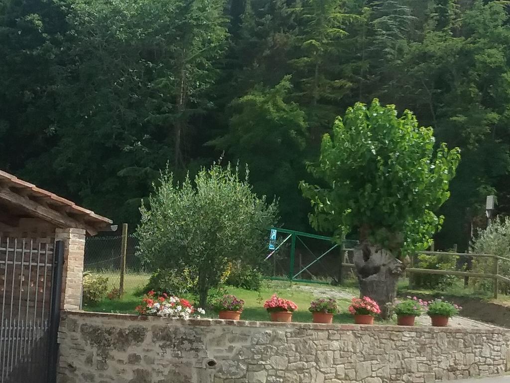Agriturismo Le Piazze Siena Esterno foto