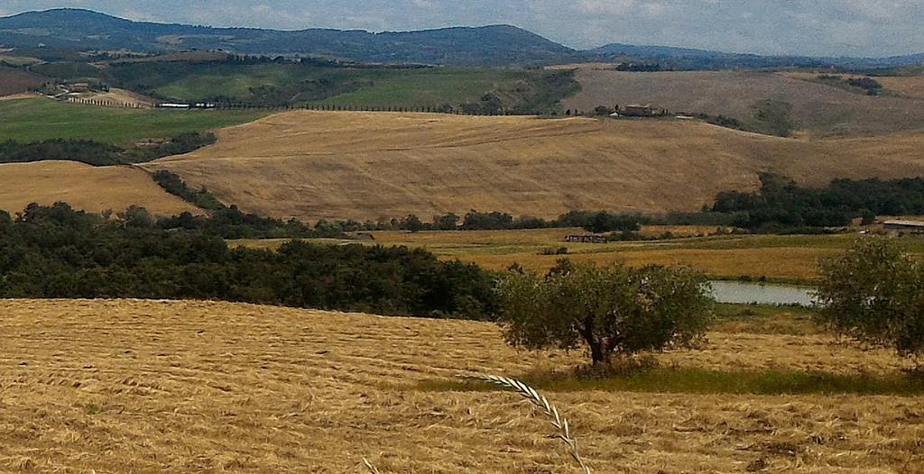 Agriturismo Le Piazze Siena Esterno foto